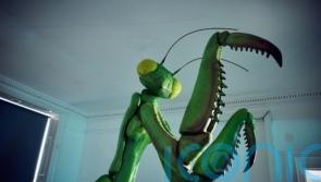 David Shrigley installs giant praying mantis sculpture at former school