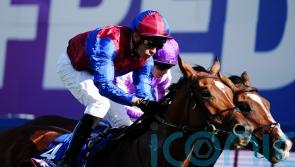 Jan Brueghel out of Melbourne Cup after failed vet check