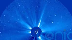 ‘Halloween comet’ breaks apart after flying close to the Sun