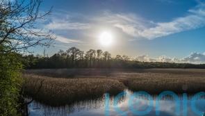 Just 7% of England’s land protected for nature, Government assessment shows