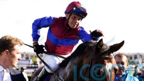 O’Brien looks to Hong Kong with Jan Brueghel following Melbourne disappointment