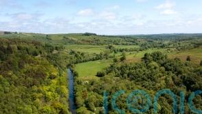 Wildlife groups secure bid to buy vast Northumberland estate for nature recovery