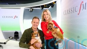 Classic FM’s Dan Walker and Charlotte Hawkins on keeping pets calm this fireworks season