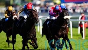 Wathnan juveniles all set for Breeders’ Cup battle