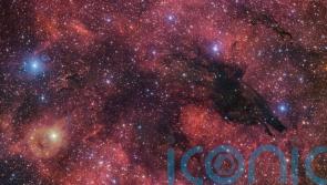 New image captures a ‘dark wolf’ in the cosmic sky