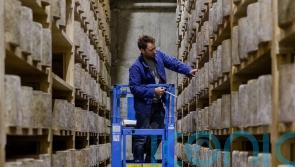 Man arrested in connection with theft of 22 tonnes of Neal’s Yard cheese