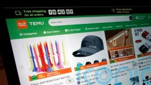 Chinese online retailer Temu faces EU probe into rogue traders and illegal goods