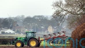 Farmers will have to stump up hundreds of thousands of pounds, Tories claim