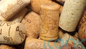 Government drinks 5,500 bottles of wine and spirits in two years