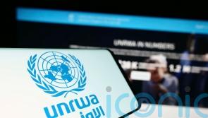 What does UNRWA do and why is it seen as a lifeline for Palestinians?