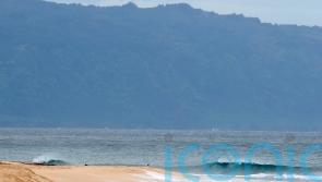 Shark severs leg of 61-year-old US surfer in attack