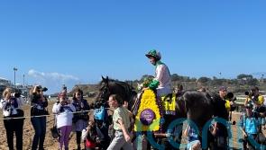 Starlust has star power in Turf Sprint for Beckett and Ryan