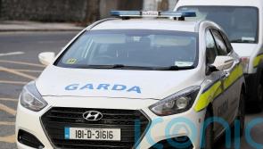 Pedestrian dies after being struck by car in Co Cork