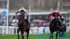 Buddy One pencilled in for Cheltenham return
