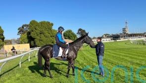 Sea King out to rule for Eustace team in Melbourne