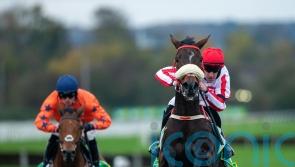 Coral Gold Cup option open for Bravemansgame