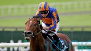 Henry Longfellow added to list of Coolmore stallions