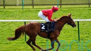 Nicol backing Wise Eagle to soar in November Handicap