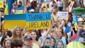 Giving migrants access to Irish classes could help with integration, study says