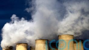 Low ambition and incoherent targets from banks put net zero at risk – analysis