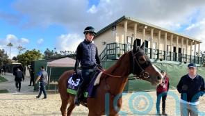 Ramatuelle set for retirement after Coolmore sale