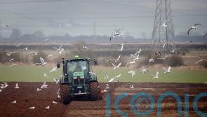 Impact of changes to farming inheritance tax: key questions answered