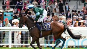 Thunderbear heading for Wentworth challenge at Doncaster