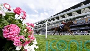 Miller Spirit out to extend winning run at Doncaster