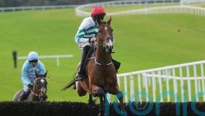 American Mike headlines another strong Troytown team for Gordon Elliott