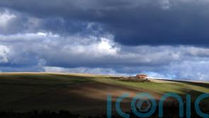 Campaigners call for ‘Domesday’ survey of nature efforts by large landowners
