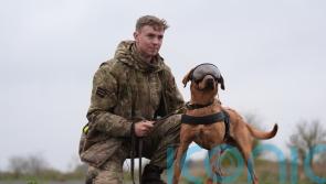 Pictures show military dogs wearing new equipment after £3.1m MoD contract