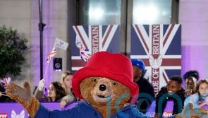 Nearly 2,000 fake Paddington Bear items seized in trading standards raids