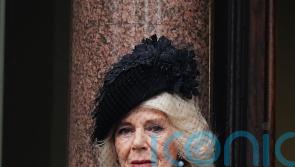 Queen to miss Remembrance weekend events to ensure recovery and protect others