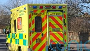 Child dies after being struck by falling tree branch in Surrey