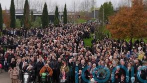 Hundreds mark Remembrance Sunday at National Memorial Arboretum