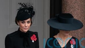 King leads nation’s tribute to war dead as Kate watches ceremony from balcony