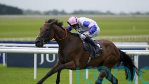 December date at the sales awaits Irish Oaks winner You Got To Me