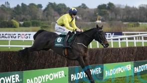 Connell content with Marine Nationale comeback effort