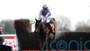 Il Est Francais to continue King George preparations at Auteuil