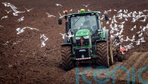 Tories to urge Treasury to reverse ‘cruel’ farm inheritance tax changes
