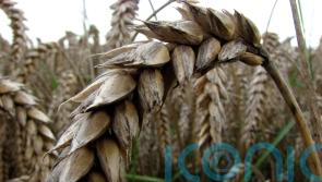Landowners warn of huge tax on profits due to farm inheritance changes