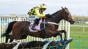 Sir Gino will now be sent novice chasing this season