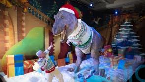 T. rex launches Natural History Museum’s sustainable Christmas jumper