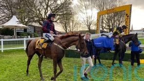 Colonel Harry primed for ‘exciting’ Coral Gold Cup challenge