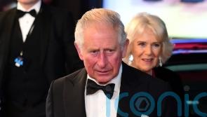 King to celebrate film and TV industry and meet stars at Gladiator II premiere