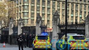 Man faces offensive weapons charges after incident outside Parliament