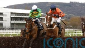 In Excelsis Deo primed to chase Paddy Power Gold Cup gold