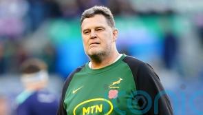 Rassie Erasmus knows England coach Steve Borthwick ‘is a bit under pressure’