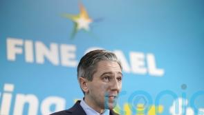 Poll suggests Fine Gael is most popular party ahead of election
