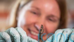 ‘Proof of celebrity status of gladiators in UK’ coming to Hadrian’s Wall